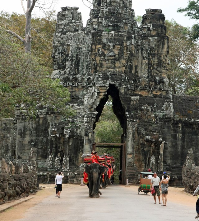 Ilustrasi wisata naik gajah di Angkor Wat Foto: Shutter Stock