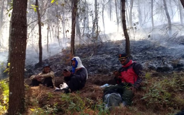 Kebakaran Hutan di Gunung Lawu Padam, Jalur Pendakian Masih Ditutup