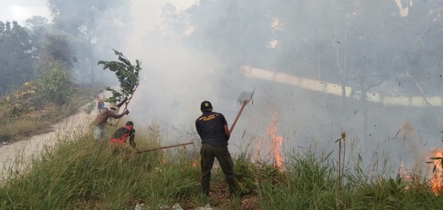 Tampak para petugas UPTD KPHL mencoba padamkan api dengan peralatan seadanya, foto : Ana