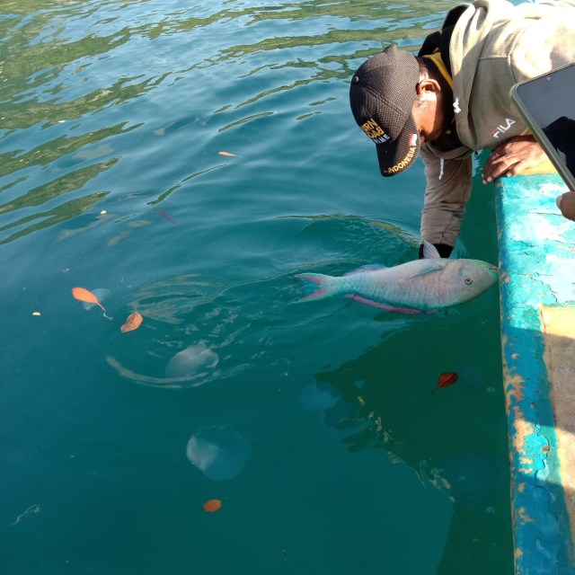 Petugas saat menemukan salah satu jenis ikan yang mati, foto: Istimewa