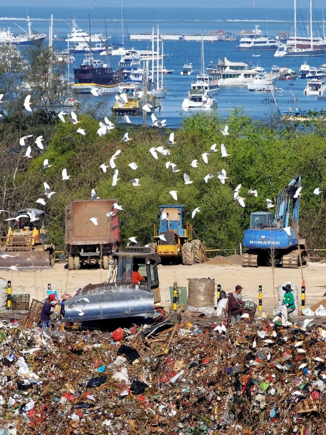 Aktivitas pengumpulan sampah di Tempat Pembuangan Akhir (TPA) Regional Sarbagita Suwung Denpasar, Bali, yang berada di dekat kawasan wisata perairan. Foto: ANTARA FOTO/Nyoman Hendra Wibowo