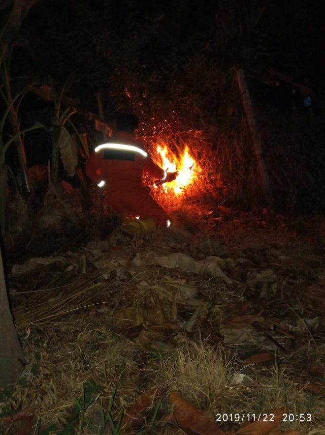Petugas BPBD menyemprotkan api ke sarang tawon. (Foto: Dok. BPBD Kota Tegal)