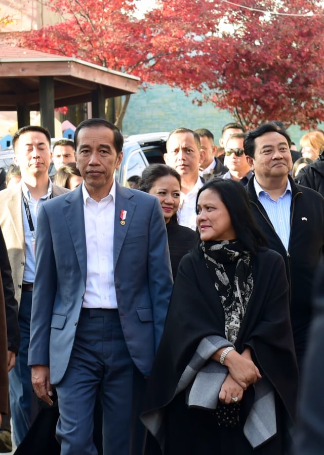 Presiden Joko Widodo dan Iriana Jokowi saat meninjau Gamcheon Culture Village di Busan, Korea Selatan Foto: Biro Pers Sekretariat Presiden/Muchlis Jr