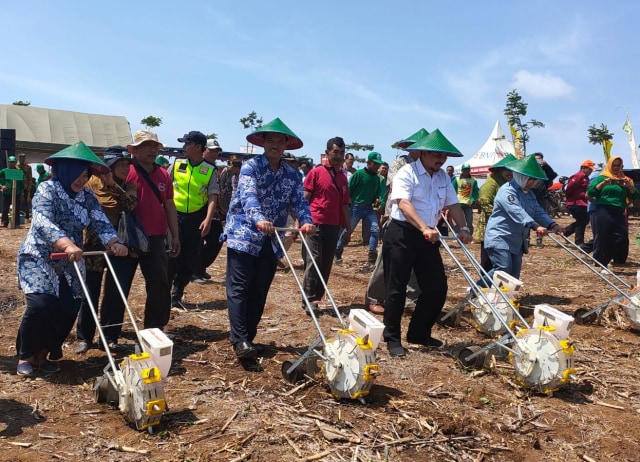 com-Kementan Lakukan Gerakan Tanam Jagung di Tulungagung Foto: dok. Kementan