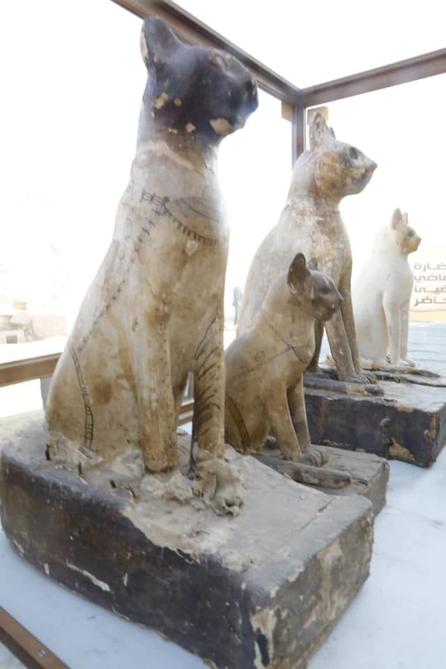 Penemuan mumi kucing besar di Saqqara, Mesir. Foto: Dok. Kementerian Barang Antik Mesir