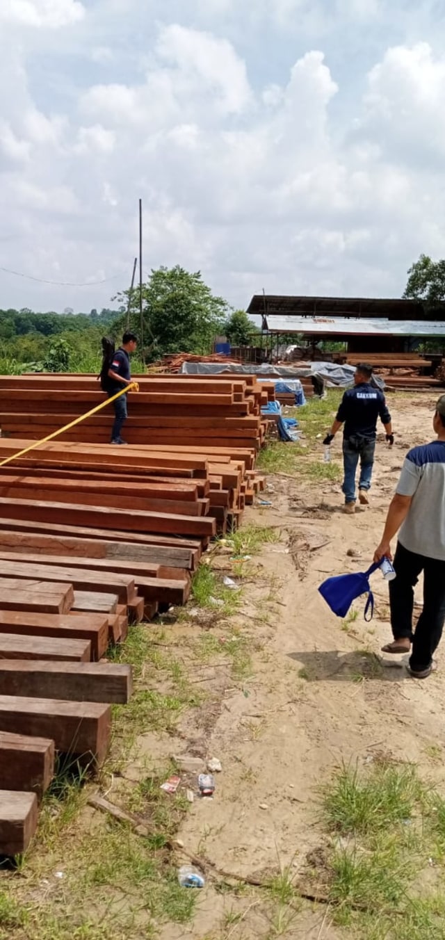 KLHK menertibkan kayu hasil illegal logging di Kalimantan Timur. Foto: Dok KLHK