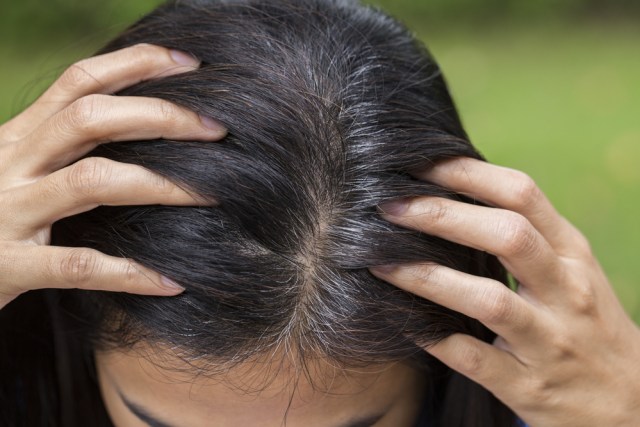 7 Makanan Pencegah Rambut Beruban Di Usia Muda Kumparan Com