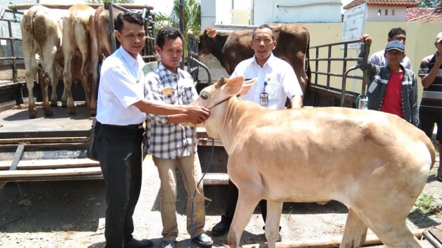 Keluar dari Basis Data Kemiskinan, 10 Warga Blora Terima Bantuan