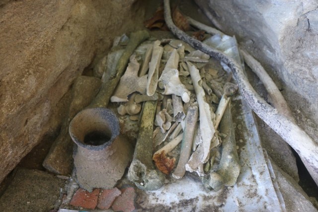 Penemuan tulang manusia prasejarah di Situs Korbiena, Kabupaten Teluk Wondama, Provinsi Papua Barat. (Dok: Balai Arkeologi Papua)