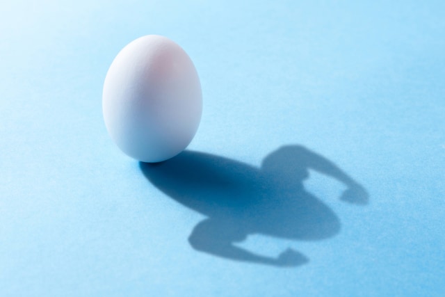 Ilustrasi telur untuk otot Foto: dok.shutterstock