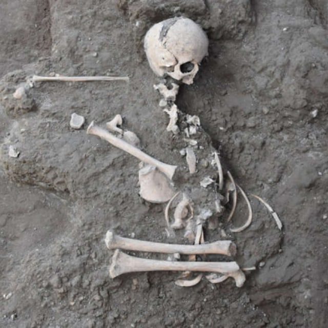 Penemuan kerangka anak kecil di reruntuhan kota kuno Pompeii. Foto: Archaeological Park of Pompeii