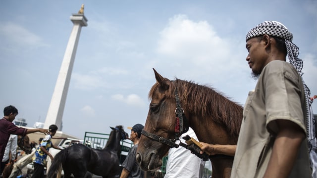 Peserta membawa kuda saat mengikuti aksi reuni 212 di kawasan Monas. Foto: ANTARA FOTO/Aprillio Akbar