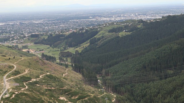 Taklukkan Fobia demi Ziplining Tertinggi, Terpanjang di Selandia Baru (224757)