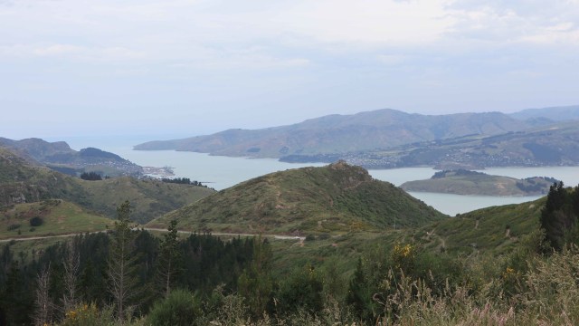 Taklukkan Fobia demi Ziplining Tertinggi, Terpanjang di Selandia Baru (224756)