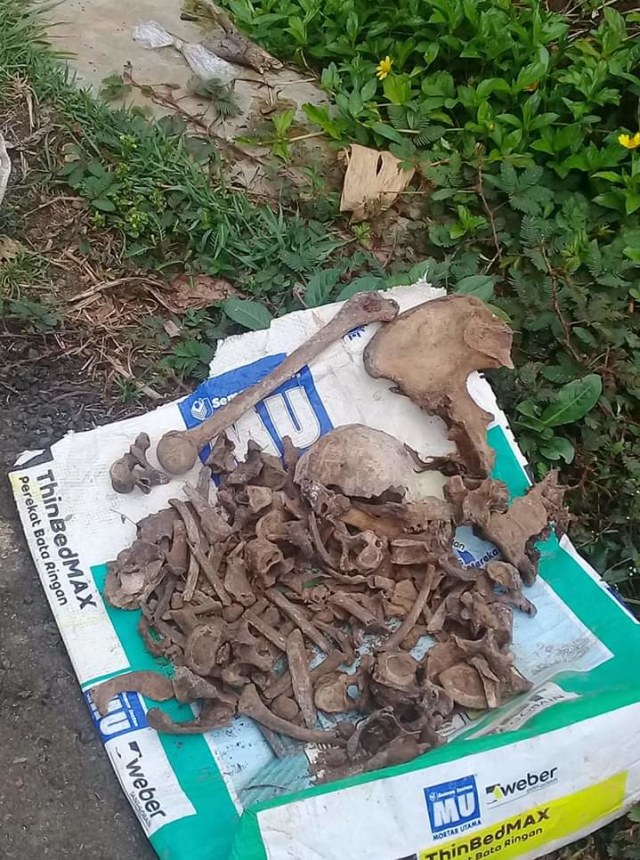 tulang manusia ditemukan di Desa Pasirpanjang, Kecamatan Salem, Kabupaten Brebes. (Foto: Dok Kodim Brebes)