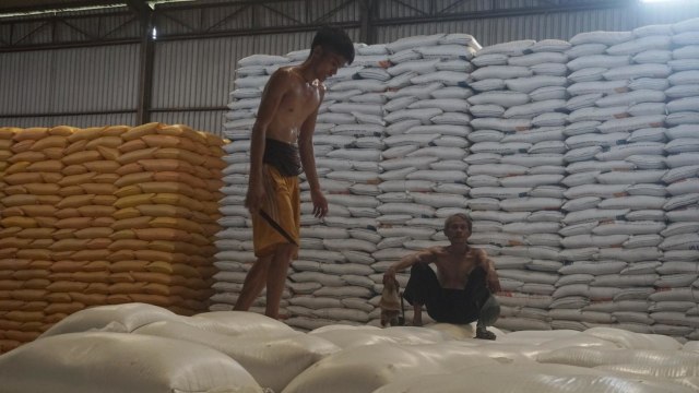Rencana Pemusnahan Beras Bulog Yang Terancam Busuk