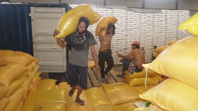 Rencana Pemusnahan Beras Bulog Yang Terancam Busuk