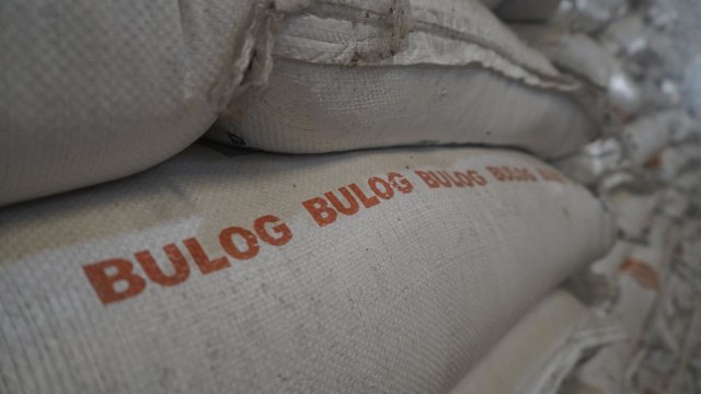 Rencana Pemusnahan Beras Bulog Yang Terancam Busuk