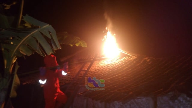 Petugas Dinas Damkar Kabupaten Bojonegoro, saat evakuasi sarang tawon vespa di rumah warga. Selasa (03/12/2019) malam.