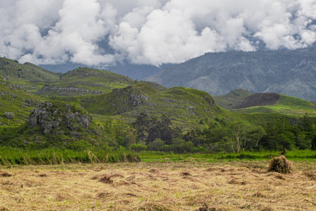 Mengenal Taman Nasional Terbesar Di Asia Tenggara Yang Ada Di Papua Kumparan Com