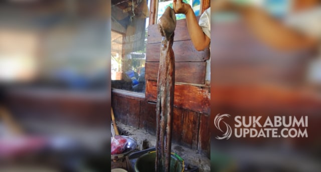 Gurita hasil tangkapan nelayan Pantai Ujung Genteng, Kecamatan Ciracap, Kabupaten Sukabumi. | Sumber Foto:Ragil Gilang