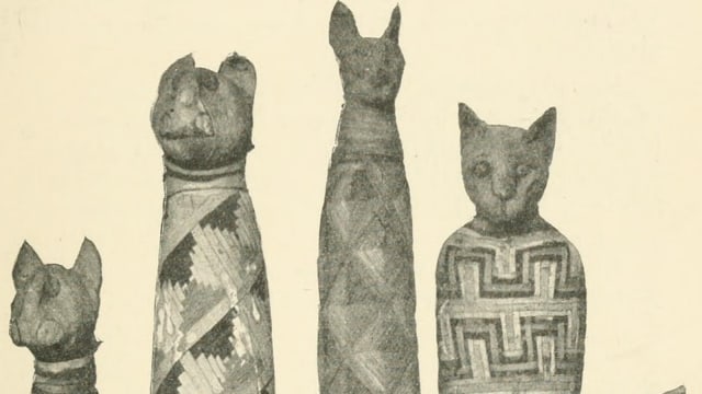 Foto: Kucing adalah binatang yang dijunjung oleh penduduk Mesir Kuno, sehingga banyak diantaranya dijadikan mumi
