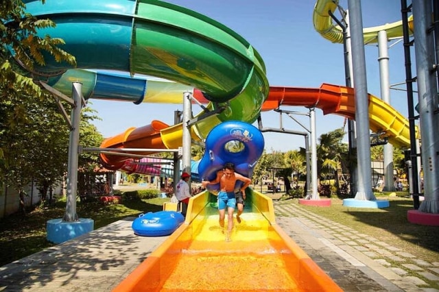 hawai jet coaster (3).jpg
