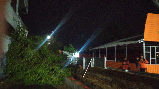 Pohon tumbang timpa mobil angkot di Tegal. (Foto: Dok. BPBD Kota Tegal)