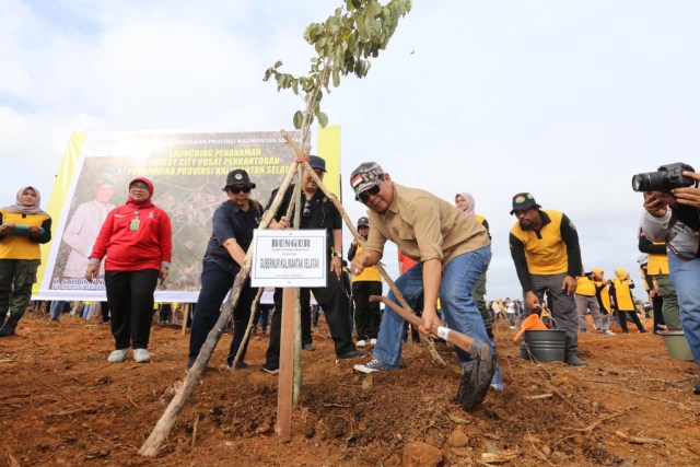 Gubernur Kalsel, H Sahbirin Noor menanam pohon saat acara Penanaman Pohon dan Launching Forest City Pusat Perkantoran Pemprov Kalsel, Banjarbaru, Jum'at (6/12/2019).