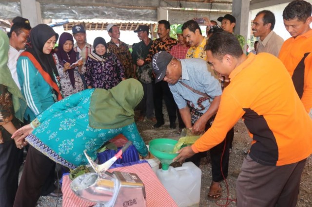 Kurangi Pupuk Kimia, Petani Di Trenggalek Diajak Beralih Ke Organik ...