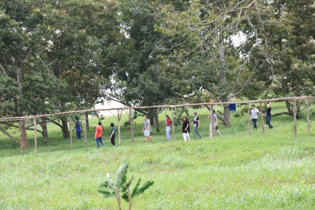 Wisatawan mengelilingi kebun durian di Citra Kebun Wisata, Batam. Foto : Rega/kepripedia.com 