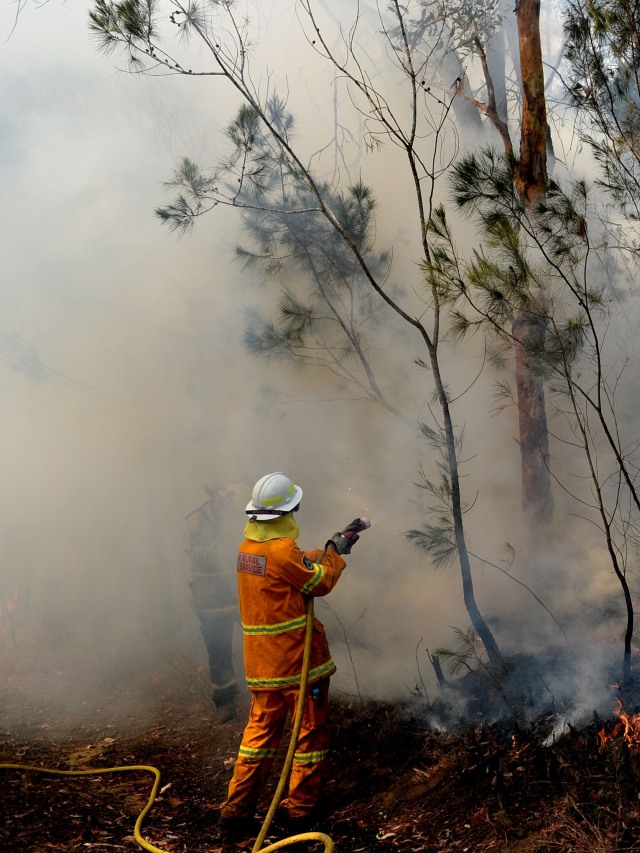 Petugas pemadam Kebakaran NSW berusaha memadamkan kebakaran hutan di Mangrove Mountain, New South Wales, Australia. Foto:  AAP / Jeremy Piper / via REUTERS