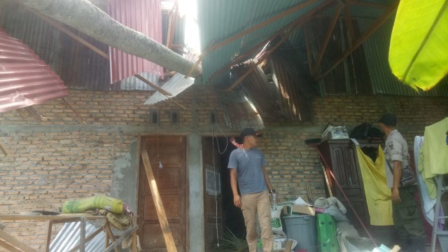 Pohon tumbang menimpa rumah warga di Padang. (BPBD Padang)