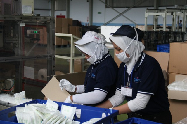 Sejumlah pekerja melakukan proses produksi di pabrik baru PT Softex Indonesia di Teluk Jambe, Karawang. Foto: Nugroho Sejati/kumparan