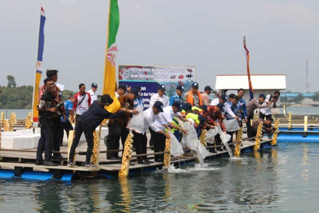 Kementerian Kelautan dan Perikanan menebar benih ikan di perairan Riau. Foto: Dok. KKP