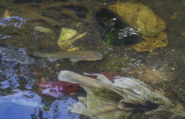 Tanggapan Pemprov DKI soal Jakarta Penyumbang Sampah Laut Terbanyak (71428)