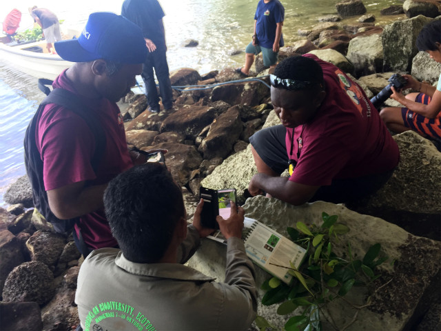 Peneliti dari Ekspedisi Mangrove 2019 berdiskusi hasil pengamatan mangrove di Fakfak, Papua Barat. Foto: Agaton Kenshanahan