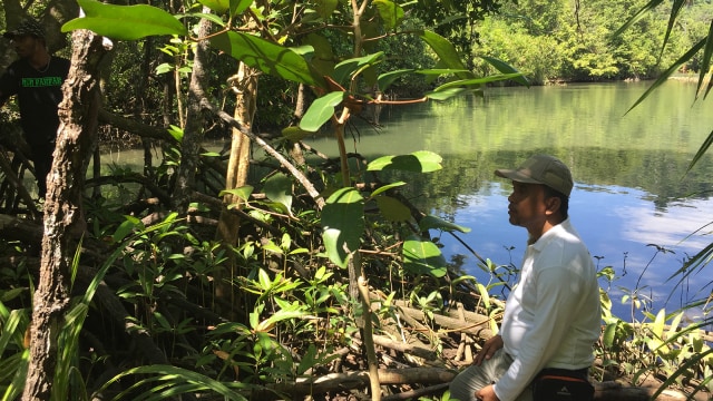 Peneliti mengamati mangrove di Kampung Air Besar, Fakfak, Papua Barat. Foto: Agaton Kenshanahan
