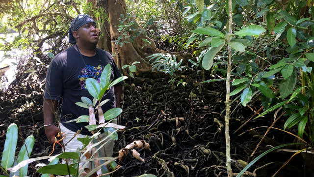 Peneliti Kehutanan Universitas Papua, Jimmy F. Wanma mengamati mangrove di Kampung Air Besar, Fakfak. Foto: Agaton Kenshanahan