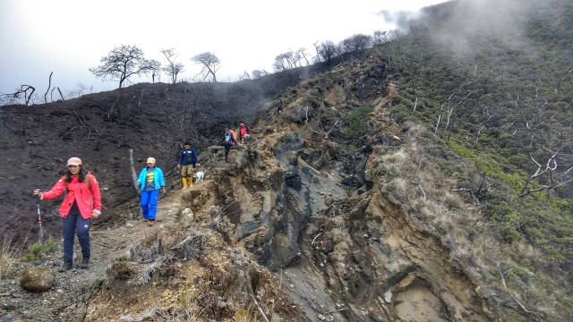 Pada 7-8 Desember 2019 dilakukan kegiatan pengecekan jalur pendakian Linggajati, Taman Nasional Gunung Ciremai, 4 bulan pasca kebakaran. Foto: Harley Sastha