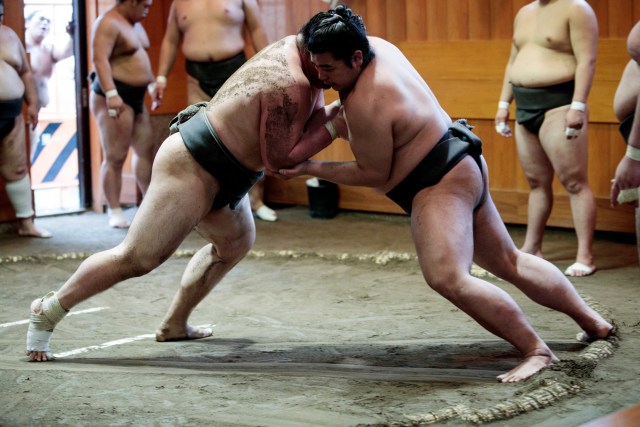 Pegulat sumo mencoba untuk mendorong satu sama lain keluar dari ring atau "dohyo" selama sesi pelatihan, di Tokyo.  Foto: AFP/BEHROUZ MEHRI