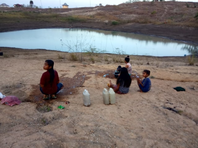 Manusia dan Ternak Minum Air Embung di Bonat, NTT (69396)