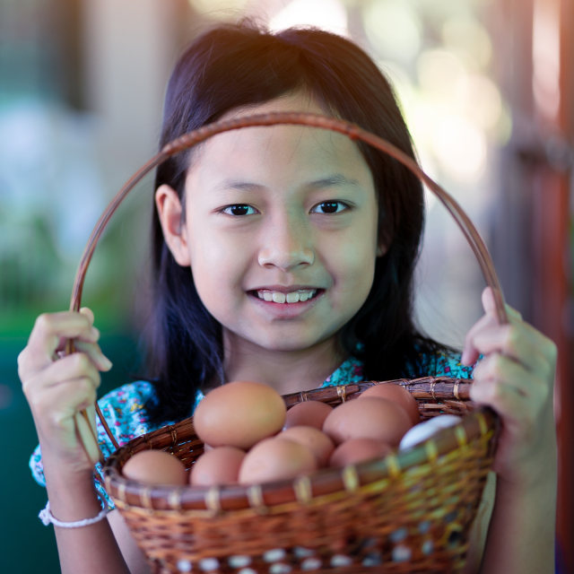 Ilustrasi anak makan telur. Foto: Shutter Stock
