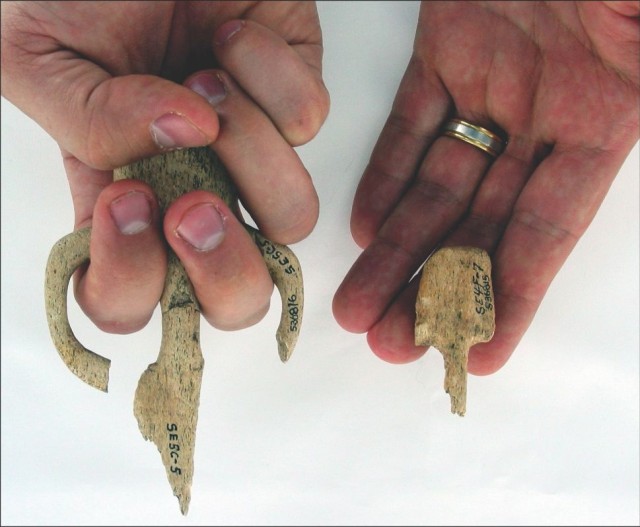 Senjata atlatl yang ditemukan di situs penggalian Par-Tee. Foto: Robert Losey dan Emily Hull (Antiquity Publications Ltd)