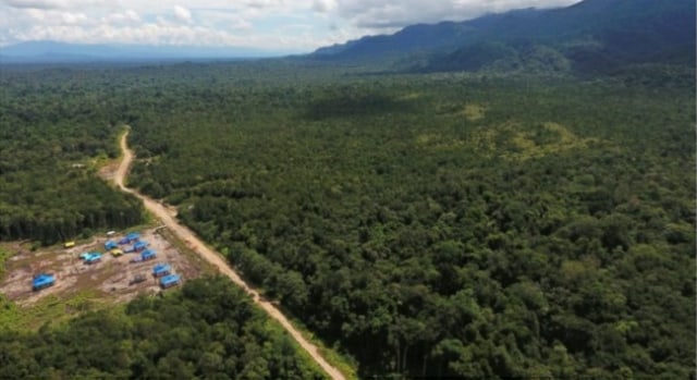 Hutan produksi yang ada di Kabupaten Sorong, foto : Istimewa 