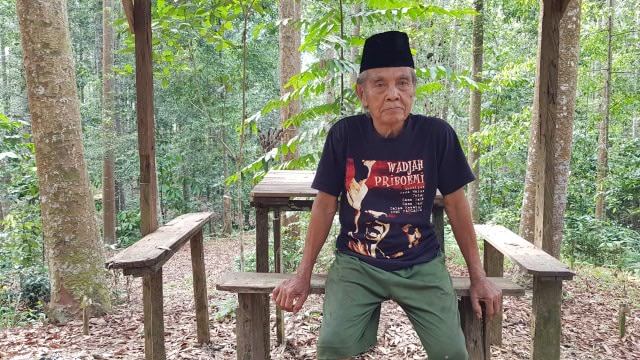 Rp 10 Miliar vs Pohon di Hutan, Pilih Mana? (122)