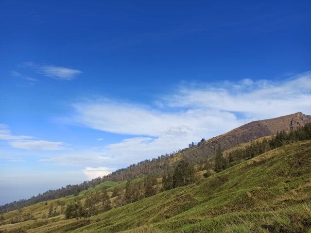 Lereng Gunung Tambora yang mulai menghijau. Foto: Putri Rahma Dianti