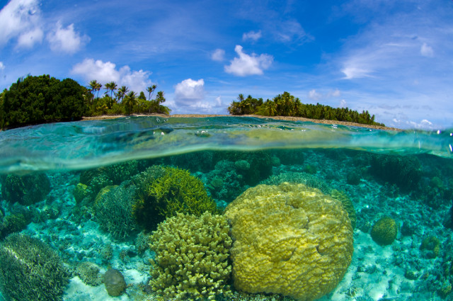 Keindahan terumbu karang di Kepulauan Marshal Foto: Shutter Stock