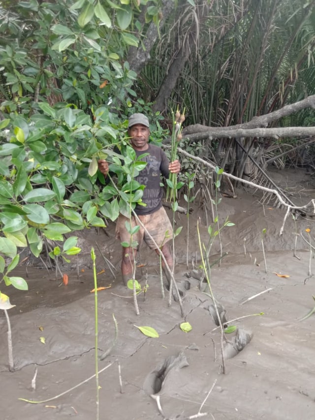 Selamatkan hutan mangrove, warga ikut menanam pohon mangrove, foto : Edi Musahidin 