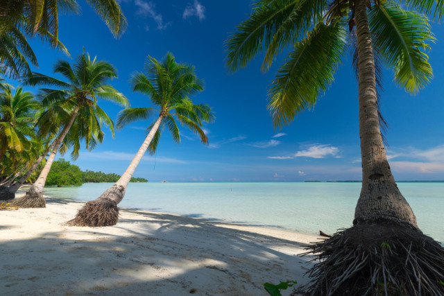 Pesona cantiknya Pantai Ohoidertawun di Kepulauan Kei Foto: Shutter stock